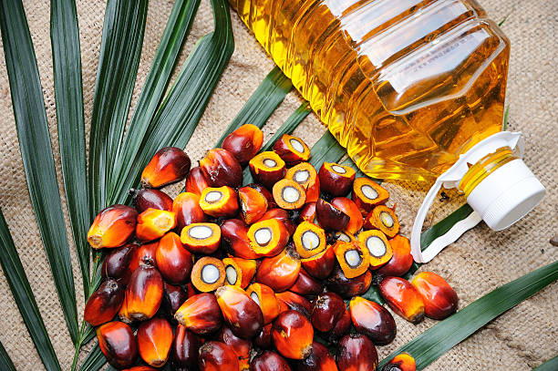 Minyak Kelapa Sawit (Crude Palm Oil / CPO)